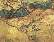 Vincent Van Gogh Field with Two Rabbits (nn04) Spain oil painting reproduction